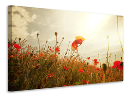 5-piece-canvas-print-the-poppy-field-at-sunrise