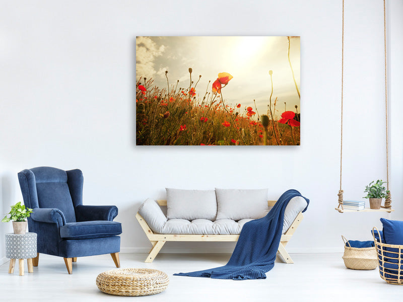 4-piece-canvas-print-the-poppy-field-at-sunrise