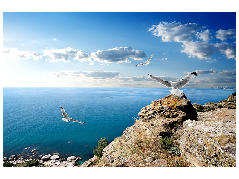 4-piece-canvas-print-the-seagulls-and-the-sea