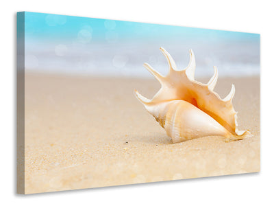 modern-3-piece-canvas-print-the-shell-on-the-beach