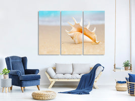 modern-4-piece-canvas-print-the-shell-on-the-beach