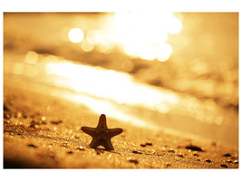 5-piece-canvas-print-the-starfish