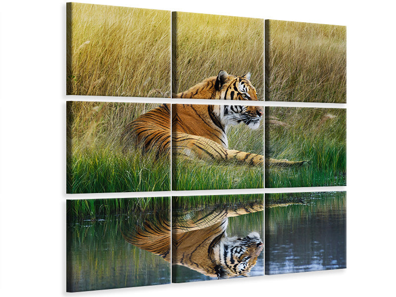 canvas-print-the-tiger