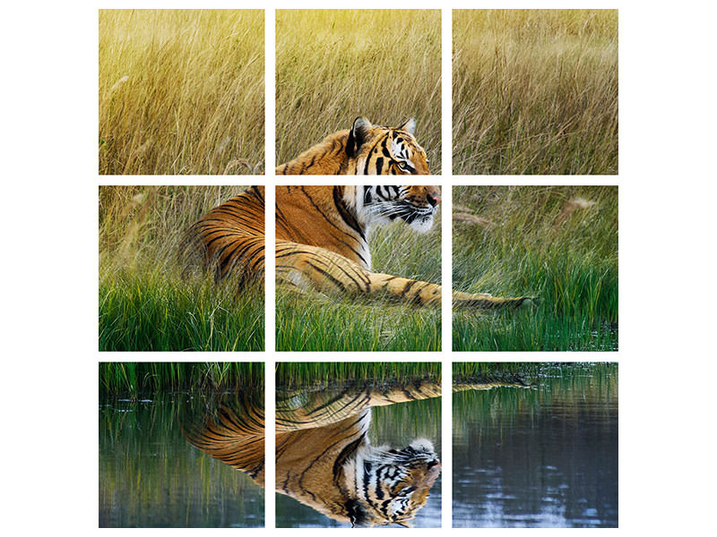 4-piece-canvas-print-the-tiger