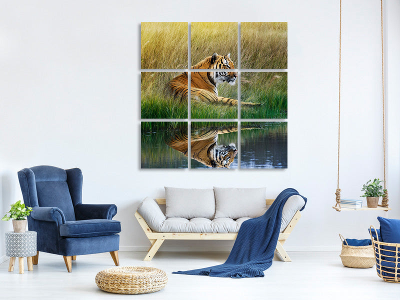 canvas-print-the-tiger