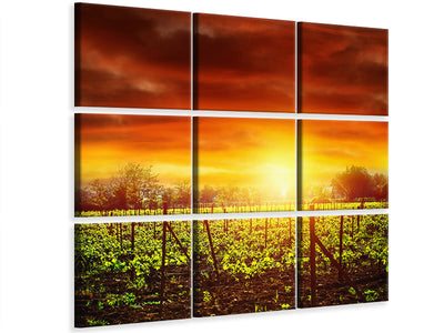 4-piece-canvas-print-the-vineyard-at-sunset