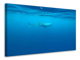 panoramic-3-piece-canvas-print-the-whale-shark