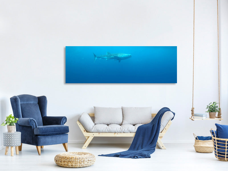 5-piece-canvas-print-the-whale-shark