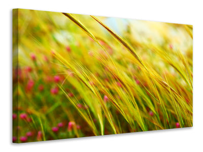 4-piece-canvas-print-the-wheat-field