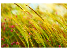 3-piece-canvas-print-the-wheat-field