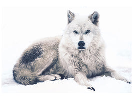3-piece-canvas-print-the-wolf