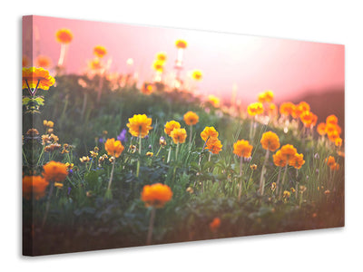modern-3-piece-canvas-print-the-mountain-meadow