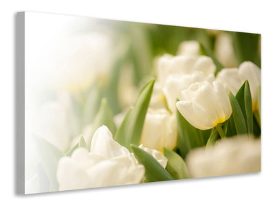 modern-4-piece-canvas-print-tulips-perspective
