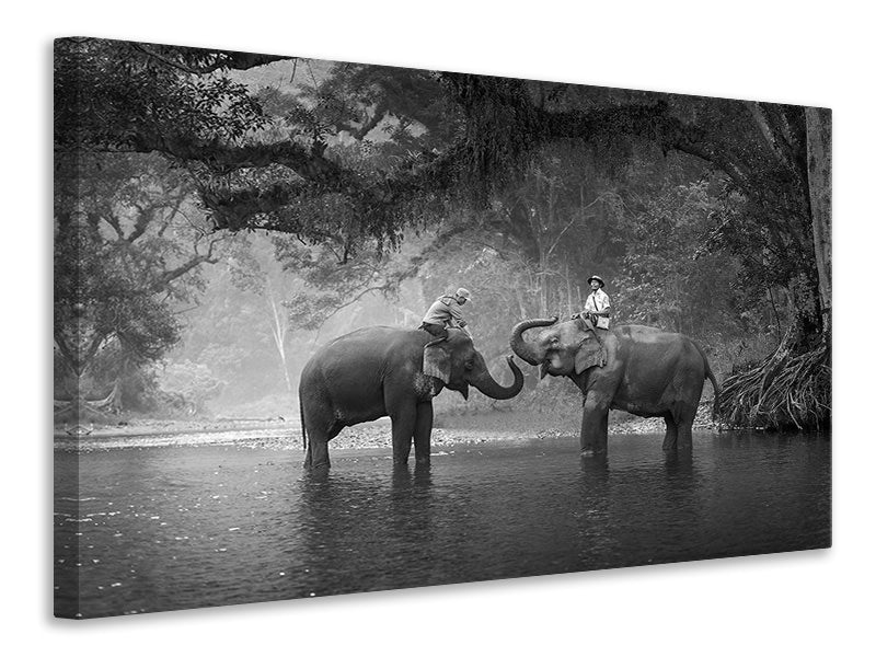 4-piece-canvas-print-two-elephants
