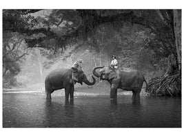 4-piece-canvas-print-two-elephants