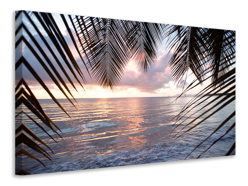 panoramic-3-piece-canvas-print-under-palm-leaves