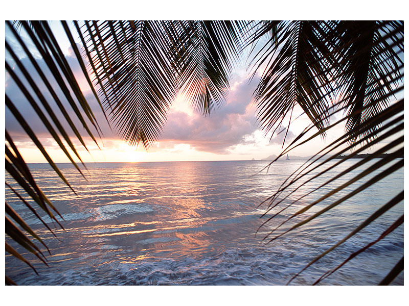 panoramic-canvas-print-under-palm-leaves