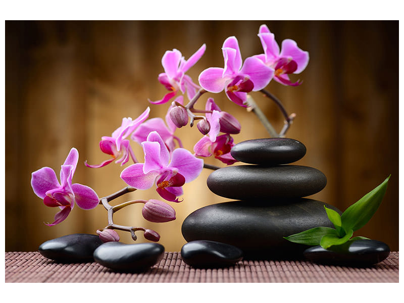 modern-4-piece-canvas-print-wellness-stones