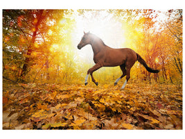 modern-4-piece-canvas-print-whole-blood-in-autumn-forest