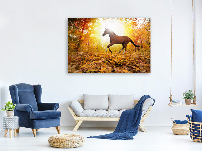 5-piece-canvas-print-whole-blood-in-autumn-forest