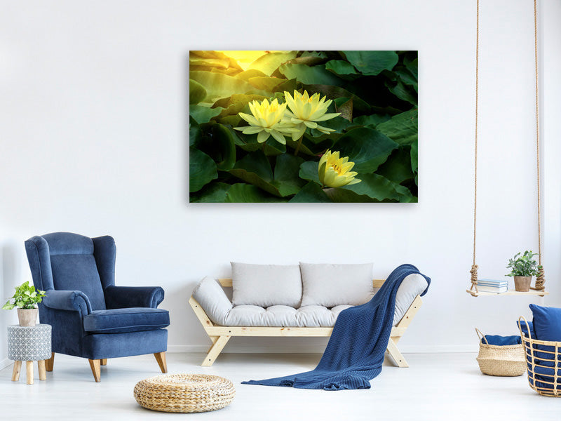 modern-4-piece-canvas-print-wild-lotus