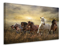 5-piece-canvas-print-wild-wild-horses
