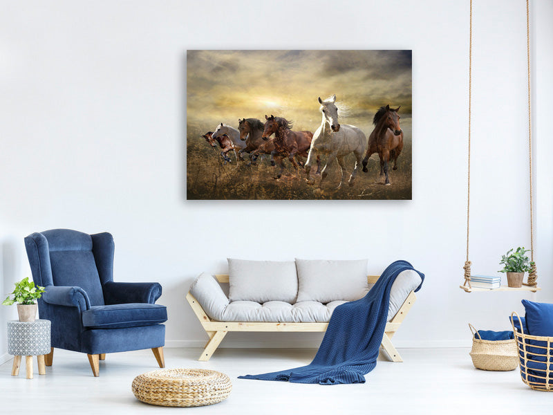 4-piece-canvas-print-wild-wild-horses