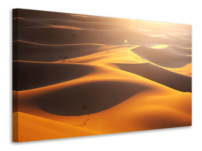 modern-4-piece-canvas-print-wilderness-journey