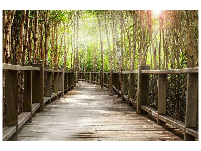 panoramic-3-piece-canvas-print-wooden-bridge