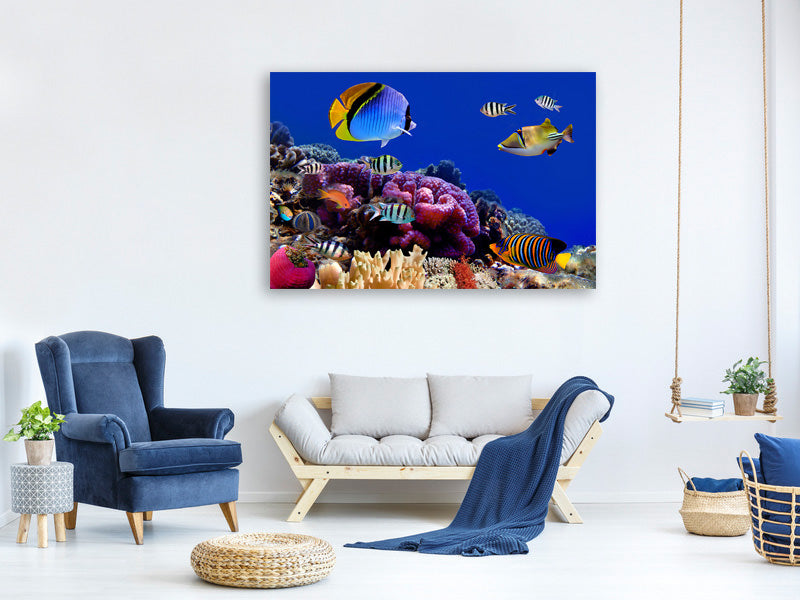 3-piece-canvas-print-world-of-fish