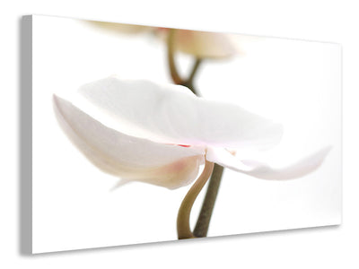3-piece-canvas-print-xxl-orchid-flower