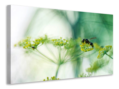 5-piece-canvas-print-xxl-parsnip