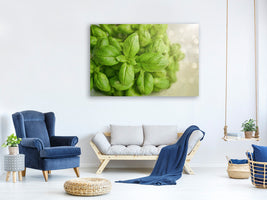 3-piece-canvas-print-a-bouquet-of-basil