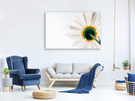 modern-3-piece-canvas-print-a-daisy