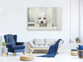 3-piece-canvas-print-a-dog-girl-to-fall-in-love
