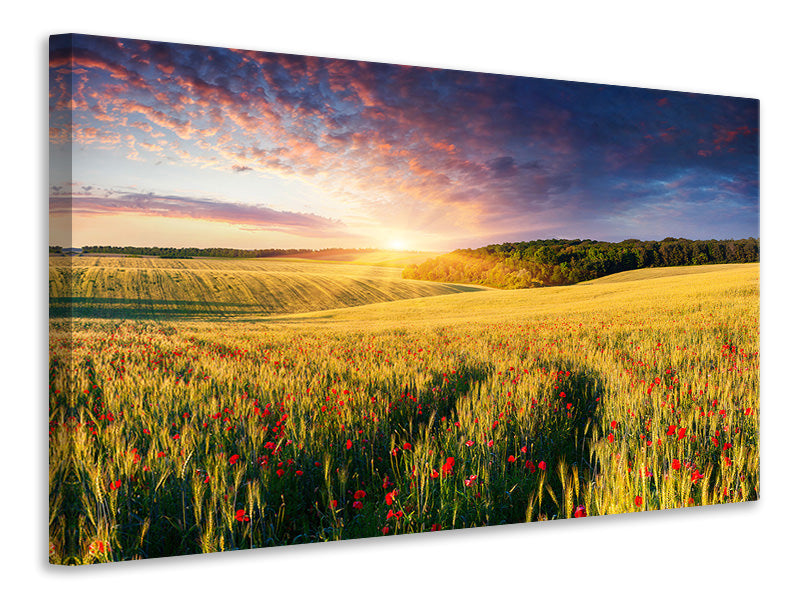 5-piece-canvas-print-a-flower-field-at-sunrise
