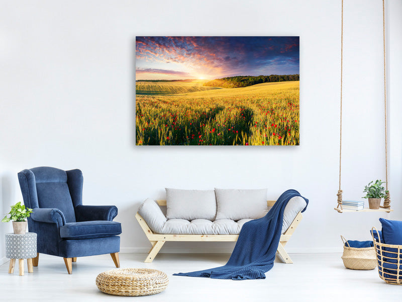panoramic-3-piece-canvas-print-a-flower-field-at-sunrise
