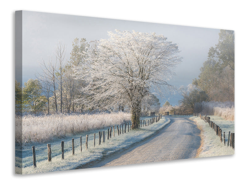 3-piece-canvas-print-a-frosty-morning