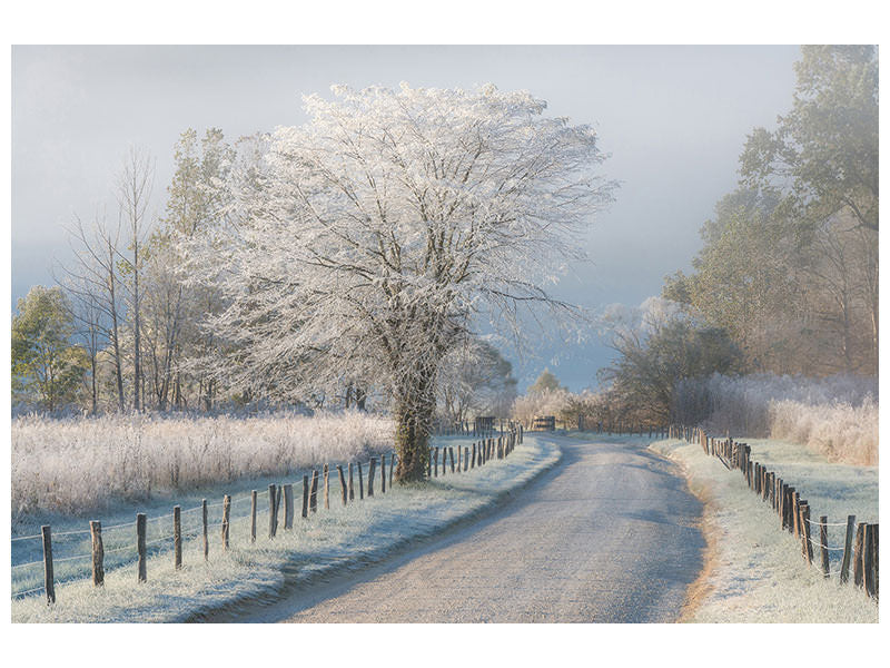 4-piece-canvas-print-a-frosty-morning