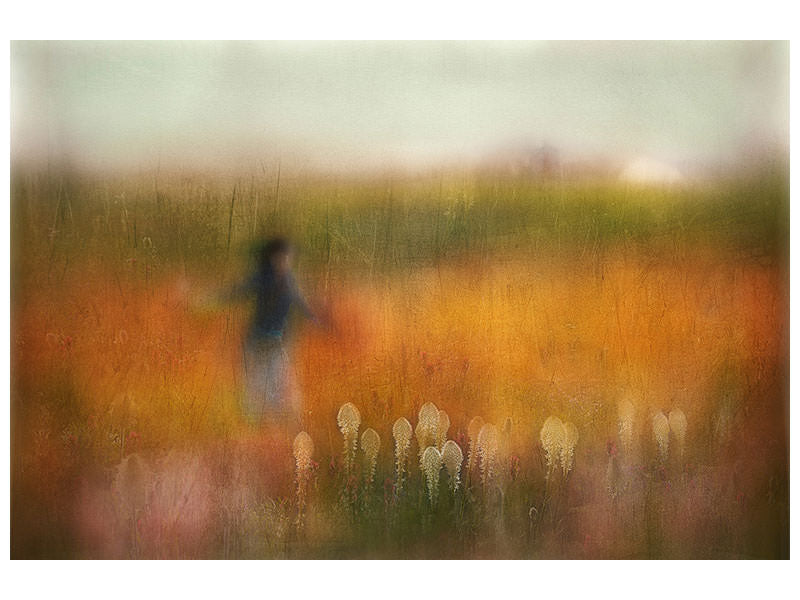 panoramic-3-piece-canvas-print-a-girl-and-bear-grass