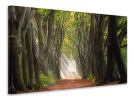 modern-4-piece-canvas-print-a-glorious-day
