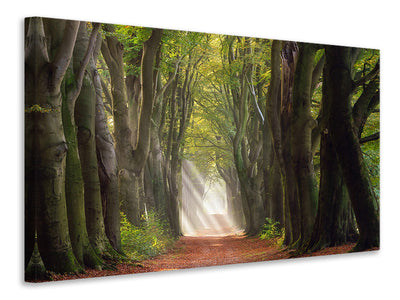 modern-3-piece-canvas-print-a-glorious-day