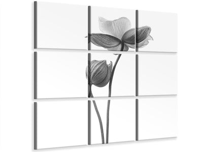 canvas-print-a-little-touch-monochrome
