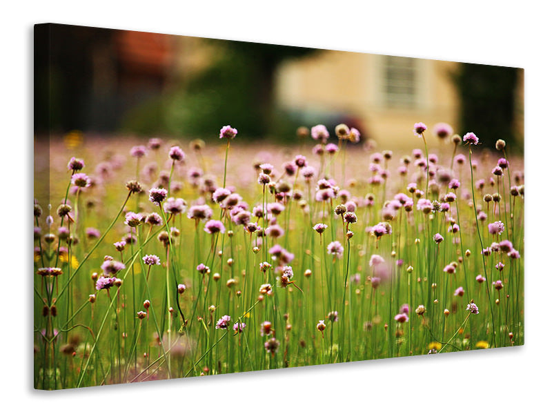 4-piece-canvas-print-a-meadow-full-of-flowers