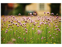 modern-4-piece-canvas-print-a-meadow-full-of-flowers