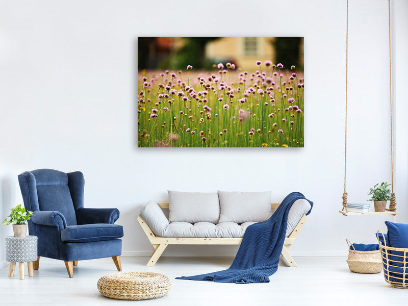 modern-4-piece-canvas-print-a-meadow-full-of-flowers