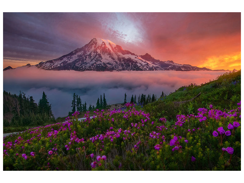 modern-4-piece-canvas-print-a-moment-in-time