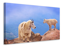modern-3-piece-canvas-print-a-mothers-smile