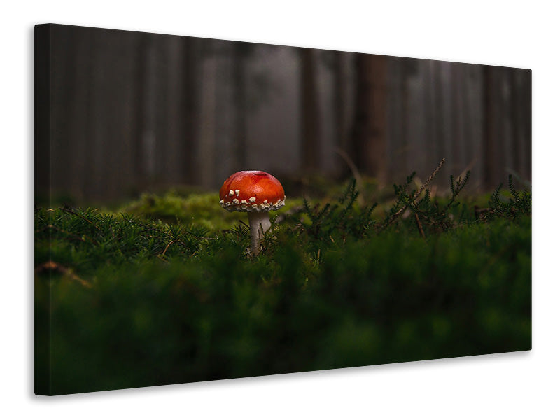 3-piece-canvas-print-a-mushroom-in-the-forest
