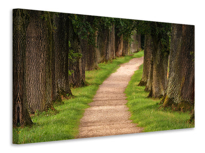 modern-3-piece-canvas-print-a-path-in-the-forest